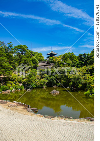 【京都風光】仁和寺:池塘上的五重塔和優雅的花園 【京都風光】仁和寺:池塘上的五重塔和優雅的花園 129276541