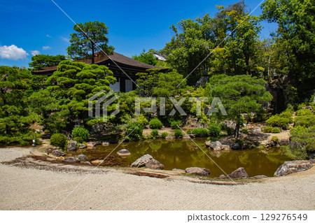 [Kyoto Scenery] Ninna-ji Temple: Five-story pagoda over a pond and elegant garden 129276549