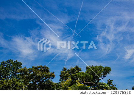 【京都風光】仁和寺：池塘上的五重塔和優雅的花園 129276558