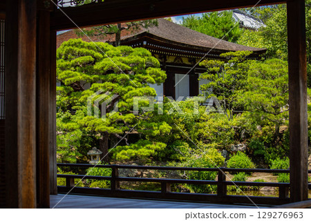 [Kyoto Scenery] Ninna-ji Temple: Five-story pagoda over a pond and elegant garden 129276963