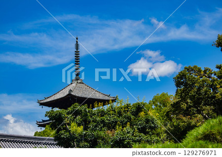 [Kyoto Scenery] Ninna-ji Temple: Five-story pagoda over a pond and elegant garden 129276971