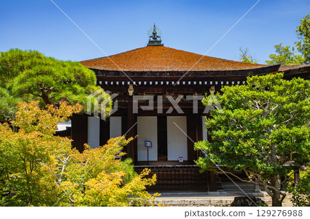 [Kyoto Scenery] Ninna-ji Temple: Five-story pagoda over a pond and elegant garden 129276988