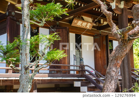 [Kyoto Scenery] Ninna-ji Temple: Five-story pagoda over a pond and elegant garden 129276994