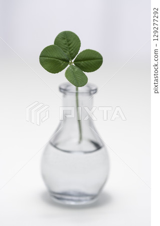 白色桌子上的花瓶裡放著一棵四葉草 129277292