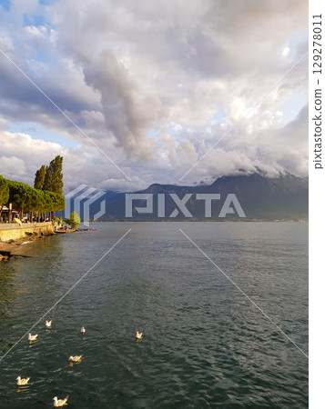 landscape of lake and mountains with swimming seagulls 129278011