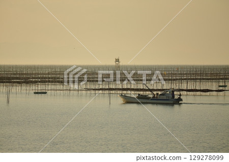 大牟田市有明海紫菜場, 大牟田市有明海紫菜場, 129278099