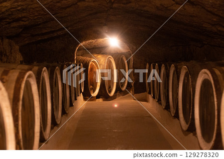many barrels of wine in the cellar at the winery 129278320
