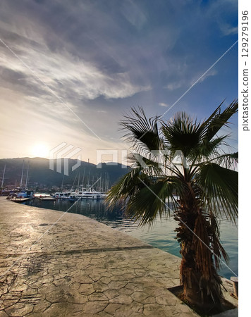 beautiful large tropical palm trees grow on the coast 129279196