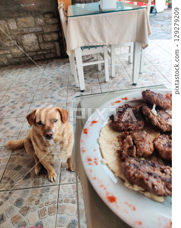 a hungry dog asks for food in a restaurant at the table 129279209