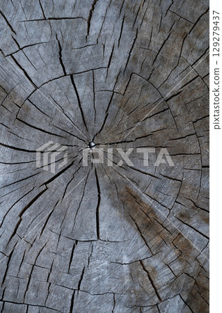 close up of wood texture with natural fibers, board material for construction close up of wood texture with natural fibers, board material for construction 129279437