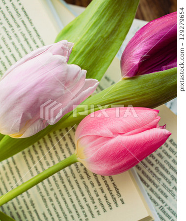 a beautiful arrangement of a bouquet of tulip flowers and a book a beautiful arrangement of a bouquet of tulip flowers and a book 129279654