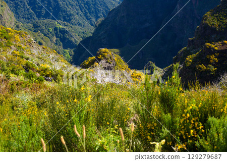 beautiful mountain landscape on the island of Madeira in Portugal 129279687