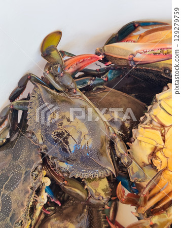 many colorful crabs on the counter in the store many colorful crabs on the counter in the store 129279759