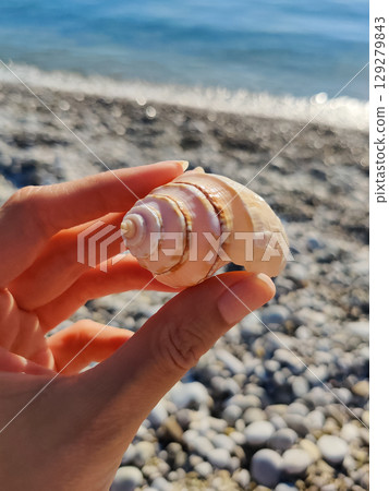 holding a seashell in his hand with a view of the sea and the beach holding a seashell in his hand with a view of the sea and the beach 129279843