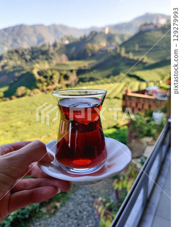 holding a glass of fragrant tea in a tea plantation holding a glass of fragrant tea in a tea plantation 129279993