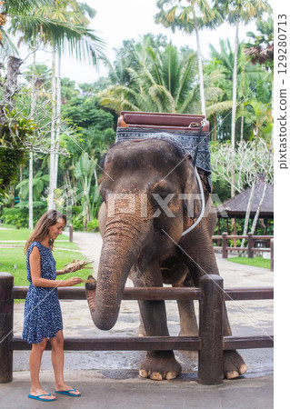 a beautiful adult elephant and a girl are playing 129280713
