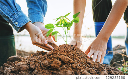 Two people are planting tree in the dirt Two people are planting tree in the dirt 129282168