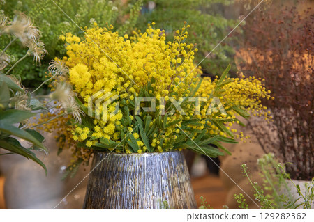 Vase of fresh cut Acacia Dealbata, also known as silver wattle or mimosa in spring. Horizontal. Selective focus. Close-up. Vase of fresh cut Acacia Dealbata, also known as silver wattle or mimosa in spring. Horizontal. Selective focus. Close-up. 129282362