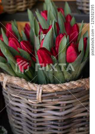 Basket full of bright red tulip bouquets at the flower garden shop in spring. Vertical. Close-up. 129282395