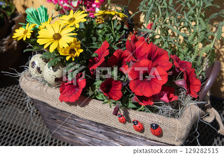 Decorative wicker basket brimming with red petunias and yellow daisies creates a vibrant display with decorative ladybugs and spotted quail eggs. Spring Easter floral arrangement Decorative wicker basket brimming with red petunias and yellow daisies creates a vibrant display with decorative ladybugs and spotted quail eggs. Spring Easter floral arrangement 129282515