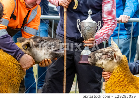 The award ceremony at an Agricultural Show 129283059