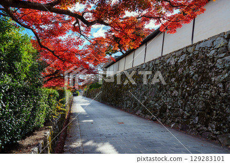 The path to Shiga-in Temple with autumn leaves 129283101