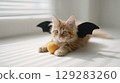 Cute orange kitten with bat wings playing with yarn ball on sunny windowsill 129283260