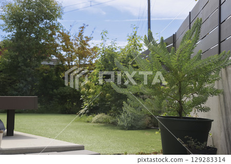 獨立式住宅的鬱鬱蔥蔥的花園景色 129283314
