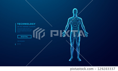 Abstract human body. Wireframe polygonal man silhouette 129283337