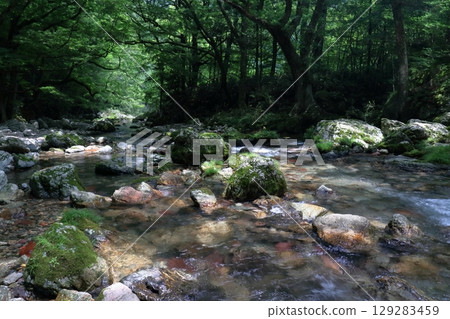 夏天的五色河原小田美山溪谷(愛媛郡內子町) 夏天的五色河原小田美山溪谷(愛媛郡內子町) 129283459