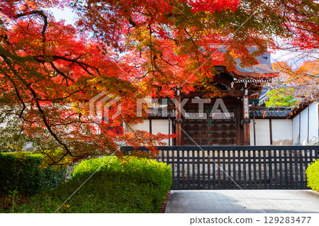 The Imperial Envoy Gate of Shiga-in Temple, surrounded by autumn leaves 129283477