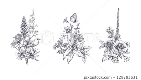 Set of vector compositions with meadow wildflowers, herbs, plants. Different flowers in beautiful summer bouquets. 129283631