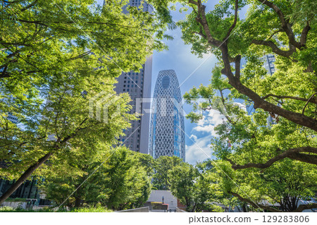 「東京」西新宿綠樹環繞的建築物景觀,新宿區 「東京」西新宿綠樹環繞的建築物景觀,新宿區 129283806