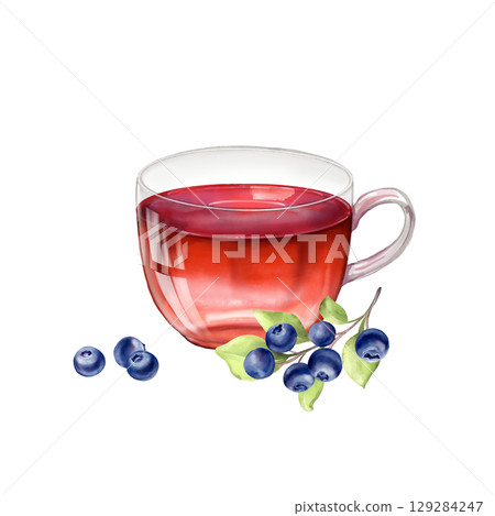 Hand-drawn illustration of a glass cup filled with berry tea, accompanied by a sprig of ripe blueberries and a few loose berries. 129284247