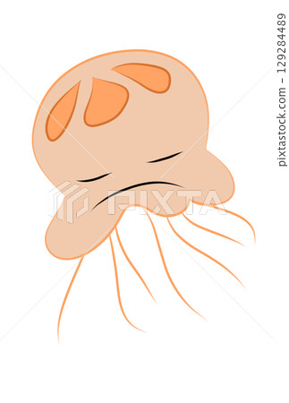 多彩的水母 129284489