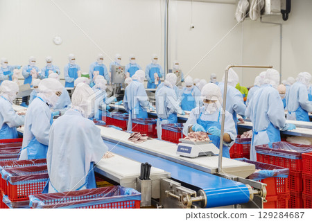 The workers are busy in a modern broiler processing factory on the production line of broiler segmentation. Cutting meat slaughterhouse workers in the refrigerator. Automated production line in the 129284687