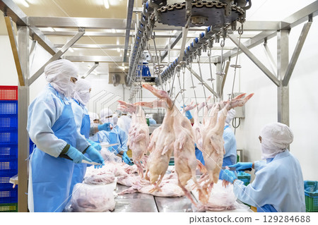 Several factory employees workers, in the production process of selecting the ducks hanging from the hooks of the conveyor belt to making the duck meat cuts. 129284688