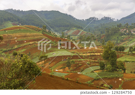 Terraced Farmland Above City Hillside View Terraced Farmland Above City Hillside View 129284750