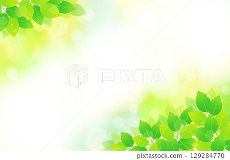 Fresh green leaves and sparkling refreshing background illustration material Fresh green leaves and sparkling refreshing background illustration material 129284770
