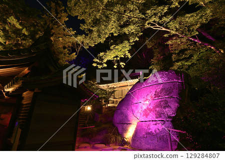 岡山後樂園夢幻花園 岡山後樂園夢幻花園 129284807