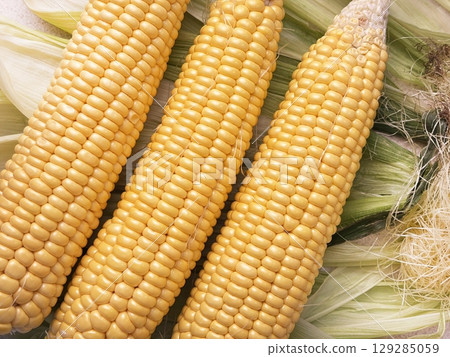 Fresh corn heads lie on corn leaves and corn silk on the table after cleaning, close up. Preparing corn for cooking. Natural food, healthy nutrition, yellow kernels, organic vegetable Fresh corn heads lie on corn leaves and corn silk on the table after cleaning, close up. Preparing corn for cooking. Natural food, healthy nutrition, yellow kernels, organic vegetable 129285059