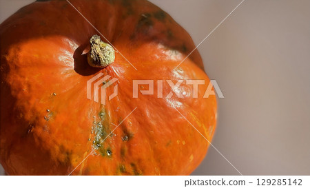 Pumpkin lying on the surface in warm sunlight. Autumn harvest and seasonal vegetables. Healthy nutrition and food concept. Halloween symbol. Close up photo Pumpkin lying on the surface in warm sunlight. Autumn harvest and seasonal vegetables. Healthy nutrition and food concept. Halloween symbol. Close up photo 129285142