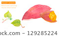 水彩紅薯矢量圖 129285224