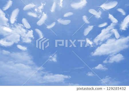 White bird feathers fluttering softly into the blue sky White bird feathers fluttering softly into the blue sky 129285432