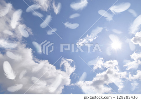 白色的鳥羽輕輕飄揚在藍天上 129285436