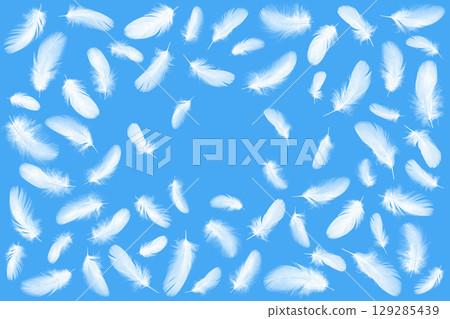 Beautiful fluffy feathers of a white bird 129285439