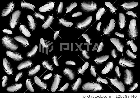 白鳥美麗蓬鬆的羽毛 白鳥美麗蓬鬆的羽毛 129285440