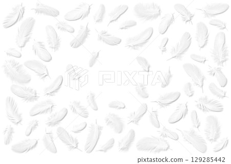 蓬鬆的白色鳥羽毛,剪裁材料 蓬鬆的白色鳥羽毛,剪裁材料 129285442