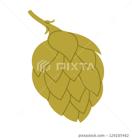 Green hop cone. Flat vector isolated illustration 129285482