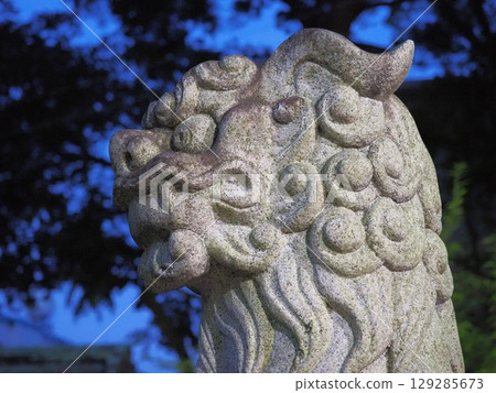 寂靜清晨，神社裡的狛犬守護者 129285673